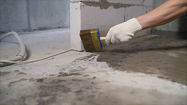 SJ Waterproofing Pros Basement Waterproofing coverage map for Douglas, AL and surrounding area